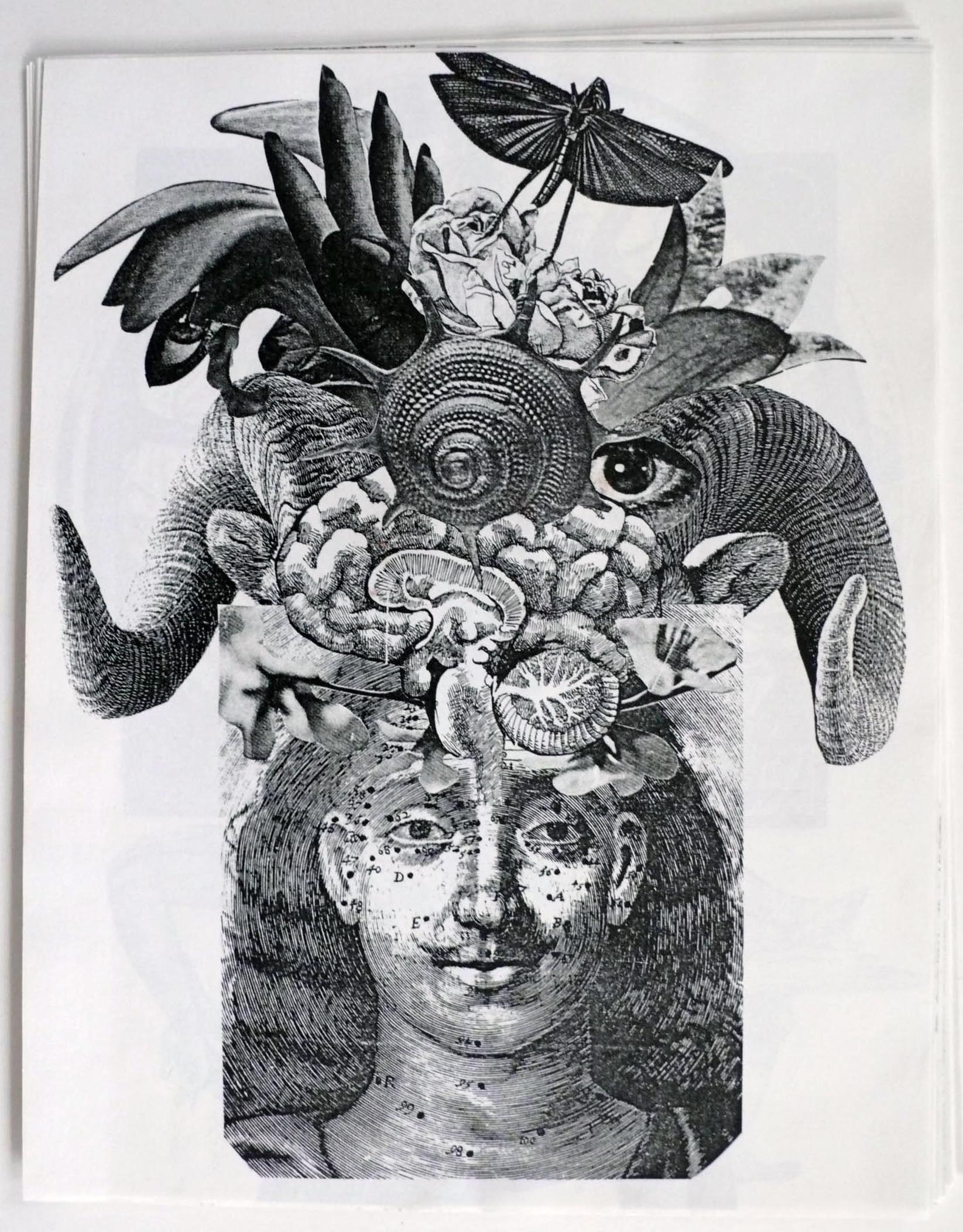 M 1980 01 07 robot vegtable 004