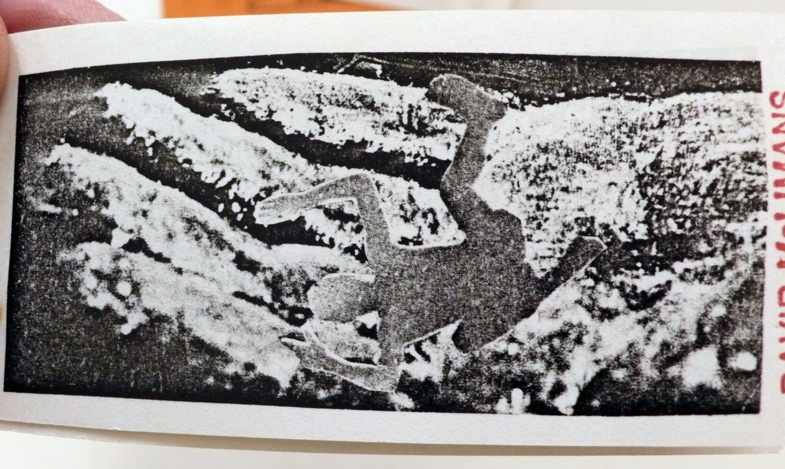 M 1981 04 22 mclimans 008