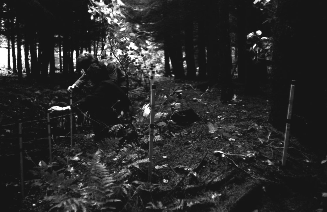 M 1970 10 19 lomholt water drawing no 1 005