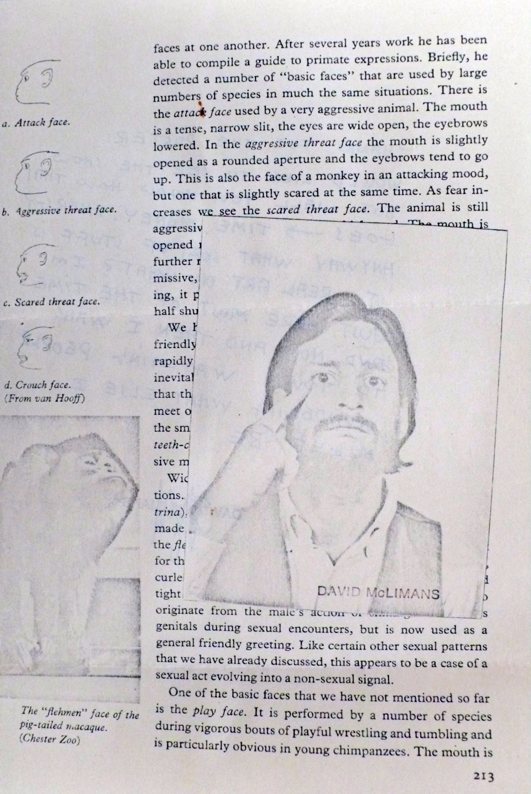 M 1981 04 22 mclimans 004